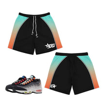 Load image into Gallery viewer, GEEKS Sportswear Hooded Windbreaker - Air Max 95 Greedy/What The 2016